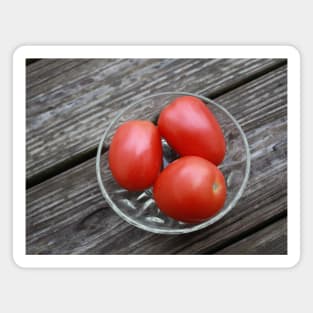 Tomatoes roma Magnet